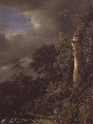 Jacob van Ruisdael Oak Tree and Dense Shrubbery at the Edge of a pond Spain oil painting artist